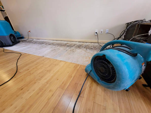 Professional Water Extraction technician working in Trenton, MI